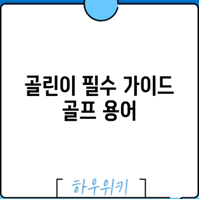 골린이 필수 가이드: 골프 용어