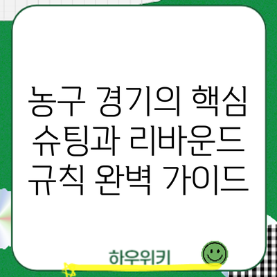 농구 경기의 핵심: 슈팅과 리바운드 규칙 완벽 가이드