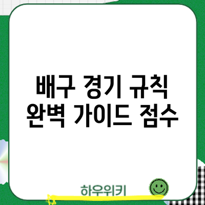 배구 경기 규칙 완벽 가이드: 점수