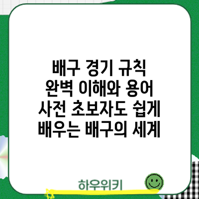 배구 경기 규칙 완벽 이해와 용어 사전: 초보자도 쉽게 배우는 배구의 세계