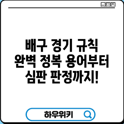 배구 경기 규칙 완벽 정복: 용어부터 심판 판정까지!