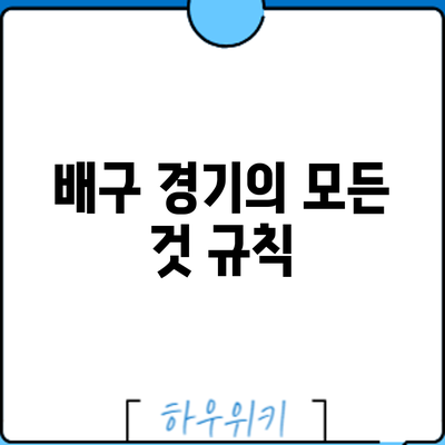 배구 경기의 모든 것: 규칙