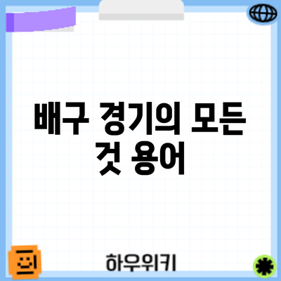 배구 경기의 모든 것: 용어