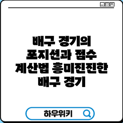 배구 경기의 포지션과 점수 계산법: 흥미진진한 배구 경기