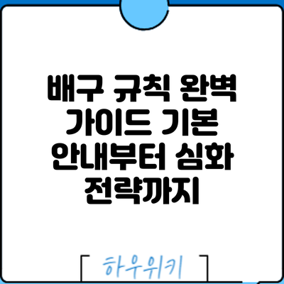 배구 규칙 완벽 가이드: 기본 안내부터 심화 전략까지