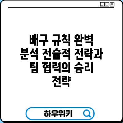 배구 규칙 완벽 분석: 전술적 전략과 팀 협력의 승리 전략