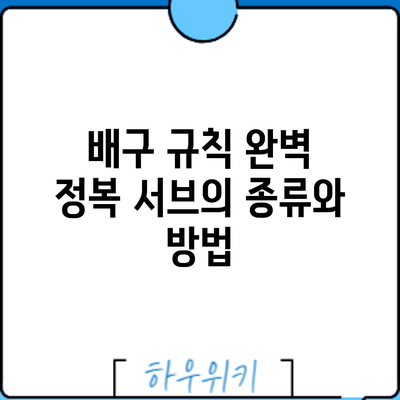 배구 규칙 완벽 정복: 서브의 종류와 방법