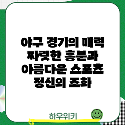 야구 경기의 매력: 짜릿한 흥분과 아름다운 스포츠 정신의 조화