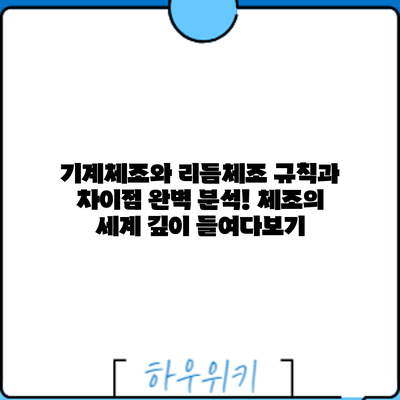 기계체조와 리듬체조: 규칙과 차이점 완벽 분석! 체조의 세계 깊이 들여다보기