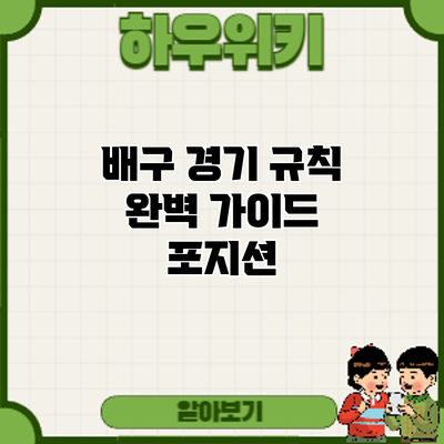 배구 경기 규칙 완벽 가이드: 포지션