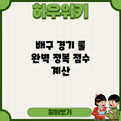 배구 경기 룰 완벽 정복: 점수 계산