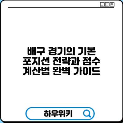배구 경기의 기본: 포지션 전략과 점수 계산법 완벽 가이드