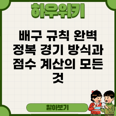 배구 규칙 완벽 정복: 경기 방식과 점수 계산의 모든 것