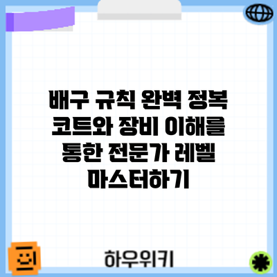 배구 규칙 완벽 정복: 코트와 장비 이해를 통한 전문가 레벨 마스터하기