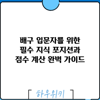 배구 입문자를 위한 필수 지식: 포지션과 점수 계산 완벽 가이드