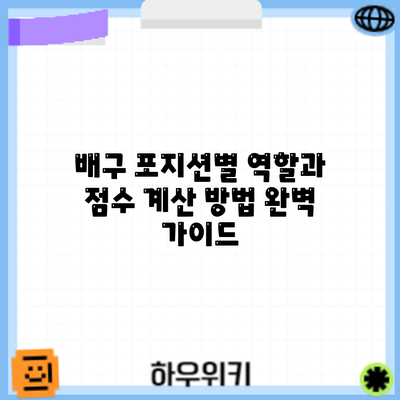 배구 포지션별 역할과 점수 계산 방법 완벽 가이드