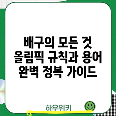 배구의 모든 것: 올림픽 규칙과 용어 완벽 정복 가이드