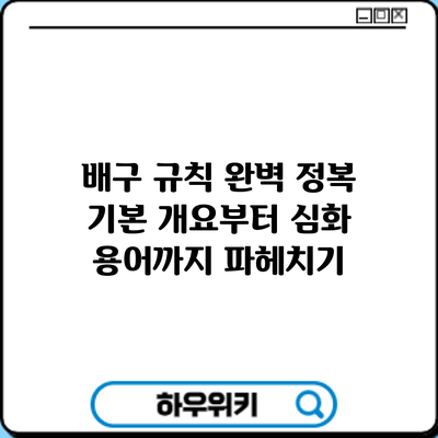 배구 규칙 완벽 정복: 기본 개요부터 심화 용어까지 파헤치기