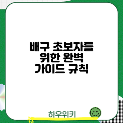 배구 초보자를 위한 완벽 가이드: 규칙