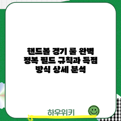 핸드볼 경기 룰 완벽 정복: 필드 규칙과 득점 방식 상세 분석