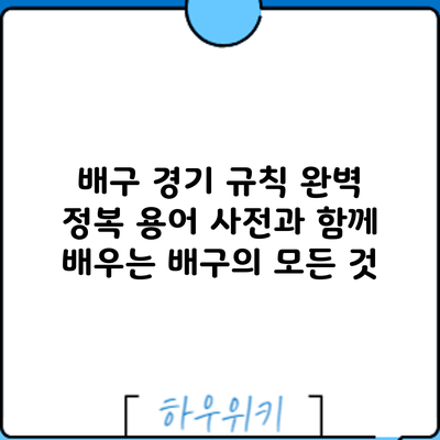 배구 경기 규칙 완벽 정복: 용어 사전과 함께 배우는 배구의 모든 것