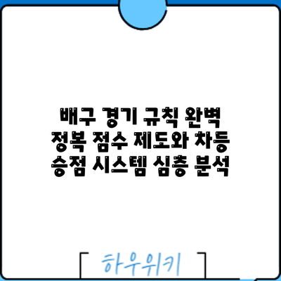 배구 경기 규칙 완벽 정복: 점수 제도와 차등 승점 시스템 심층 분석