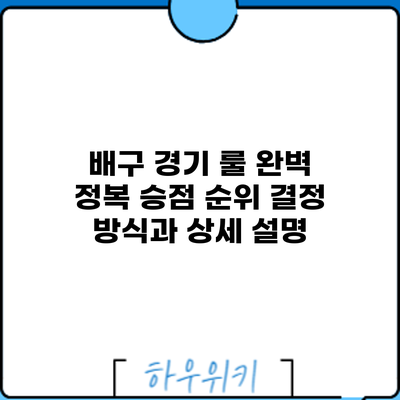 배구 경기 룰 완벽 정복: 승점 순위 결정 방식과 상세 설명