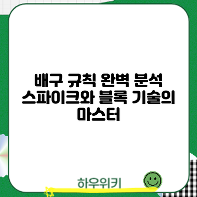 배구 규칙 완벽 분석: 스파이크와 블록 기술의 마스터