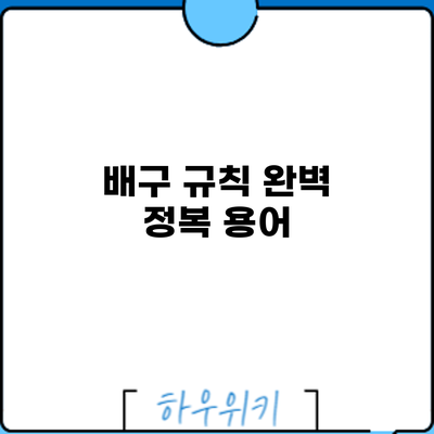배구 규칙 완벽 정복: 용어