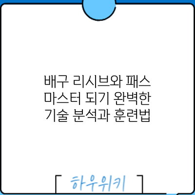 배구 리시브와 패스 마스터 되기: 완벽한 기술 분석과 훈련법