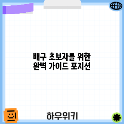 배구 초보자를 위한 완벽 가이드: 포지션