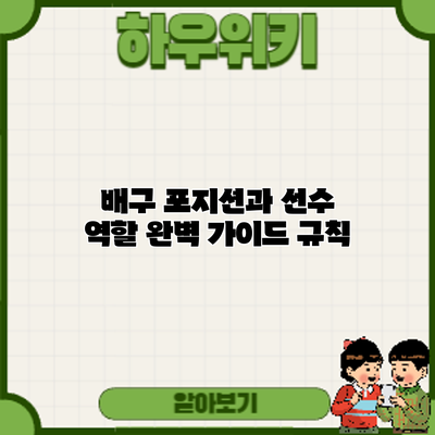 배구 포지션과 선수 역할 완벽 가이드: 규칙