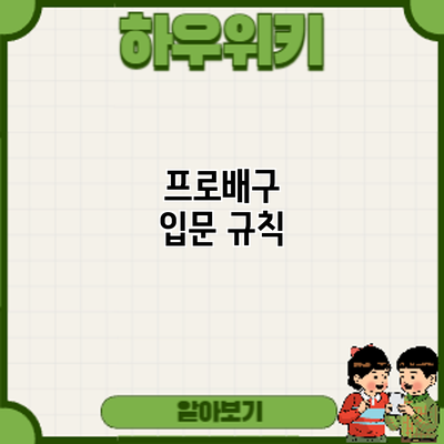 프로배구 입문: 규칙