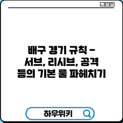 배구 경기 규칙 – 서브, 리시브, 공격 등의 기본 룰 파헤치기