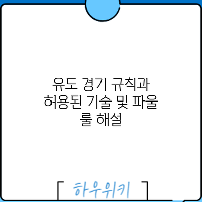 유도 경기 규칙과 허용된 기술 및 파울 룰 해설