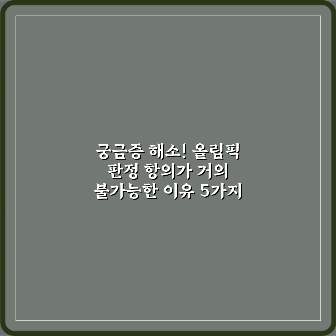 궁금증 해소! 올림픽 판정 항의가 거의 불가능한 이유 5가지 비법